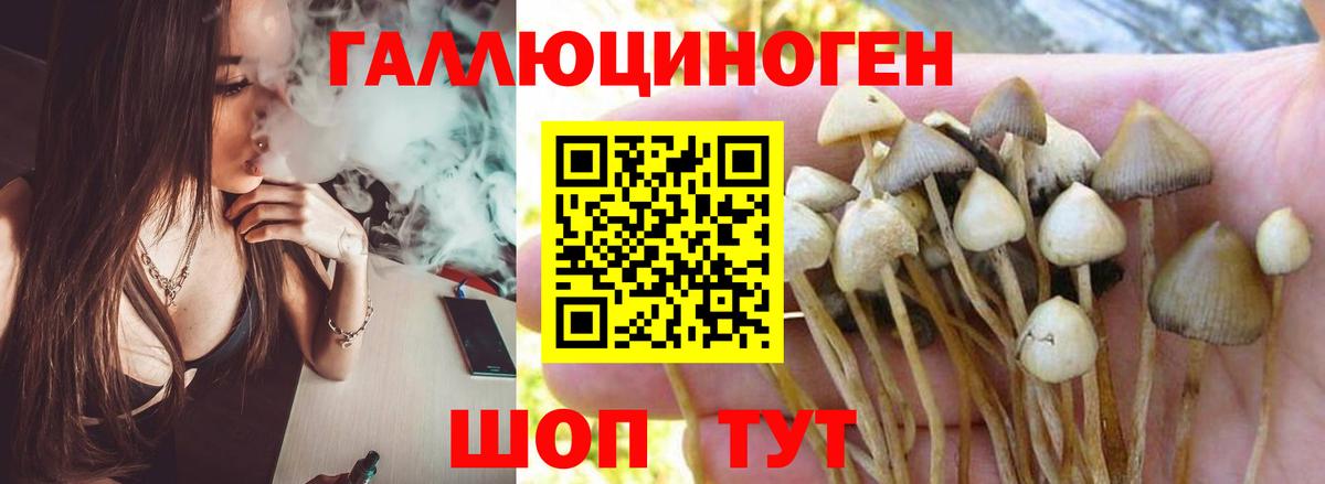 Галлюциногенные грибы мухоморы Ливны